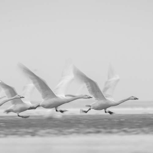 Taking off