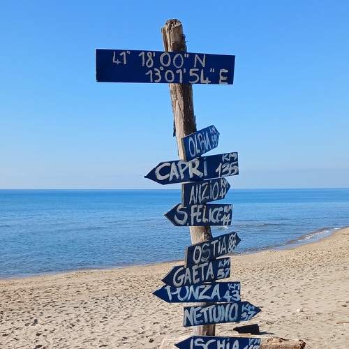 Photo #10431466