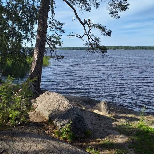Photo #10431488