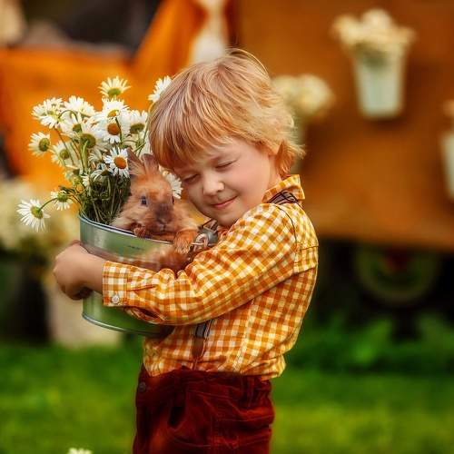 Photo #10431771