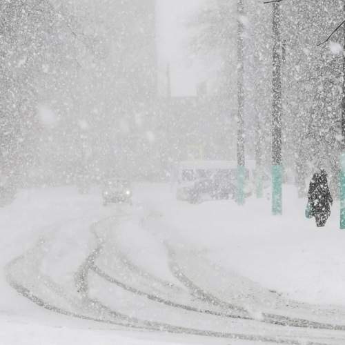 Photo #10432070