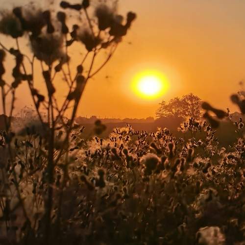 Photo #10432309