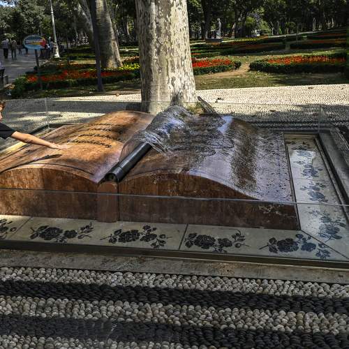Photo #10432455