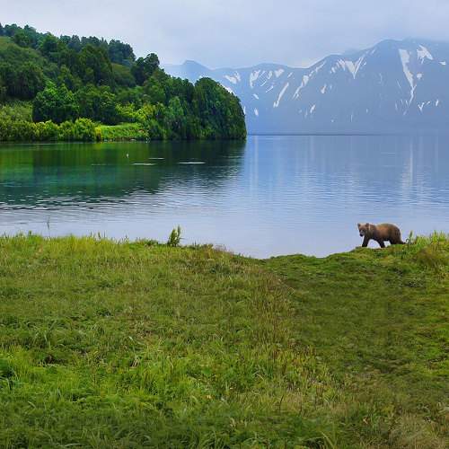 Photo #10432539