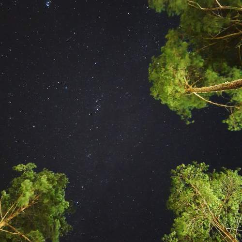 Photo #10432541