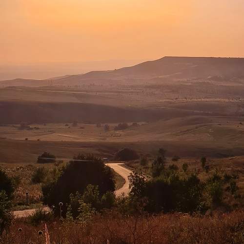 Photo #10432739