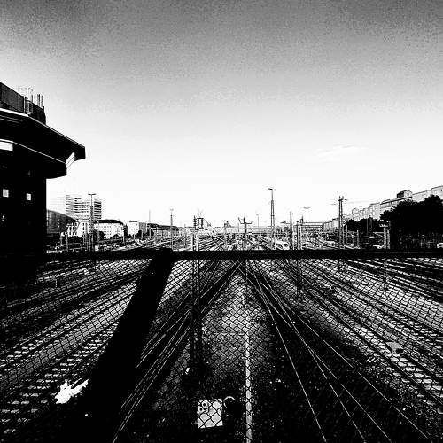 Photo #10432755