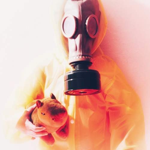 Photo #10432851