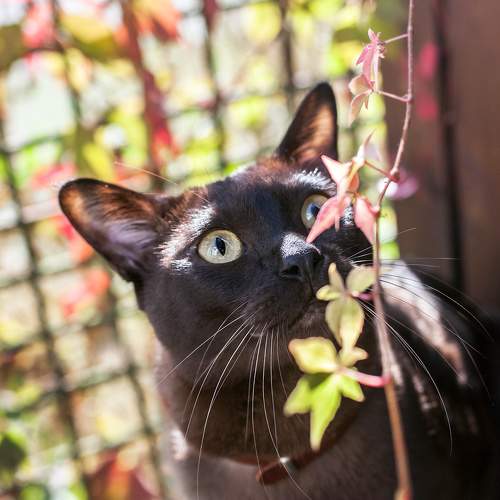 Photo #10432951