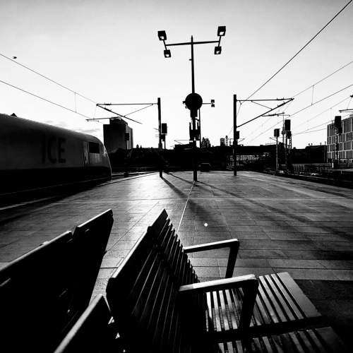 Photo #10433037