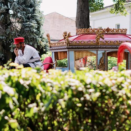 Фотография #10433159