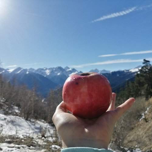 Photo #10433163