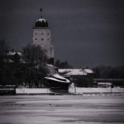 Photo #10433300