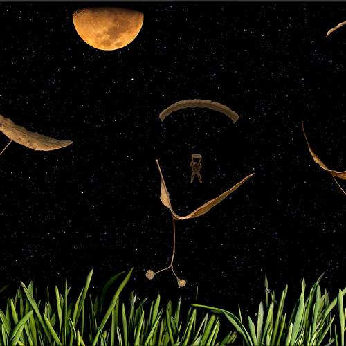 Night flights, 2024