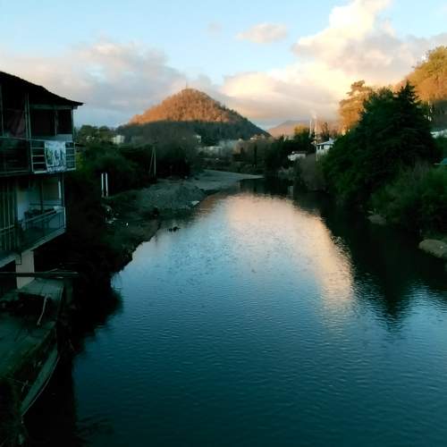 Photo #10433459