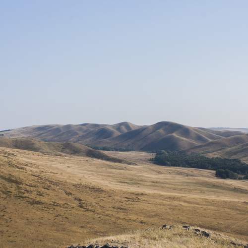 Photo #10433469