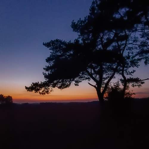 Photo #10433610