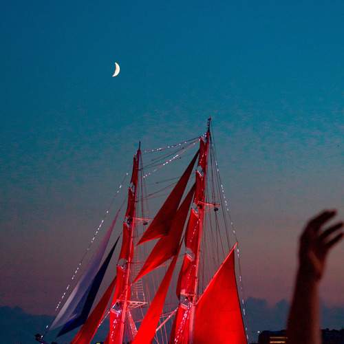 Photo #10433681