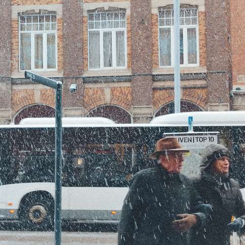 Photo #10433790