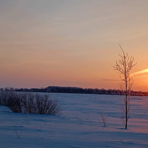 Photo #10433881