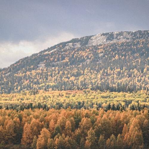 Photo #10433963