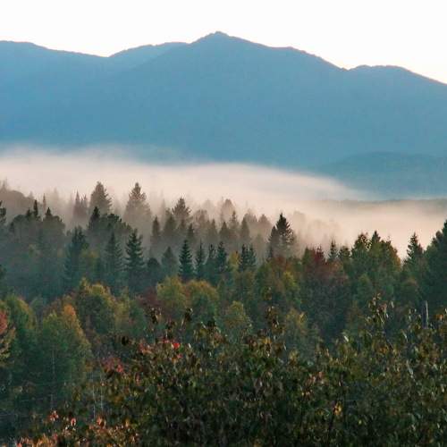 Photo #10434470