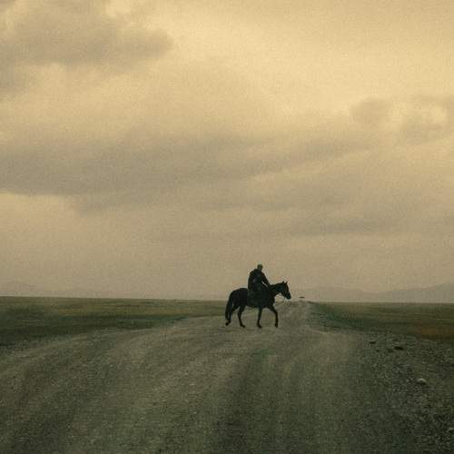 Photo #10434661