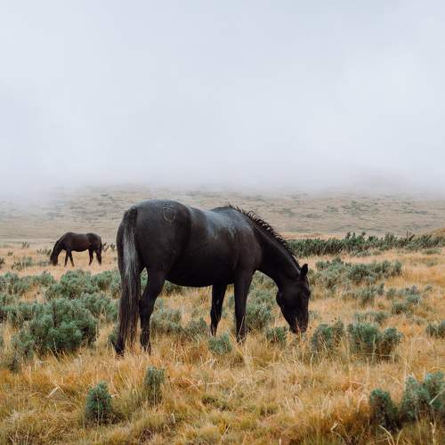 Photo #10434670