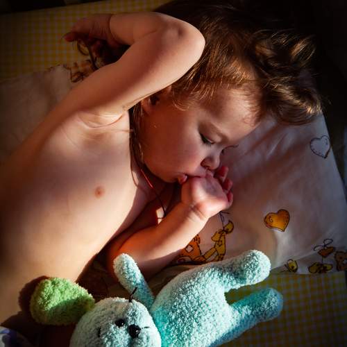 Photo #10434715