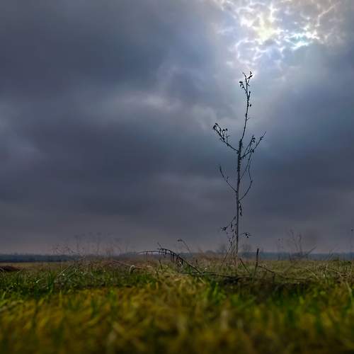 Photo #10434842