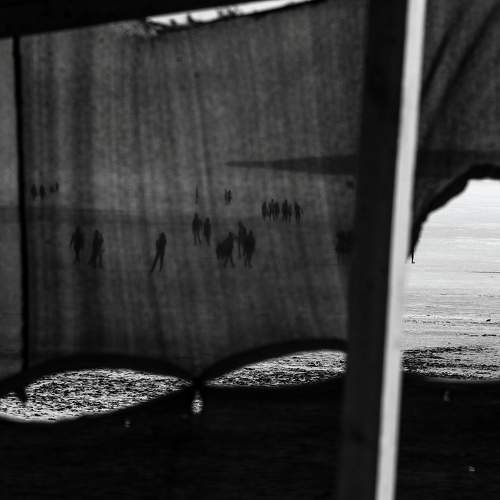 Photo #10434882