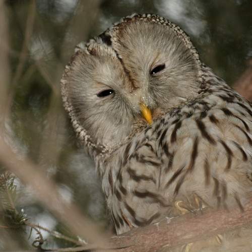Photo #10434969