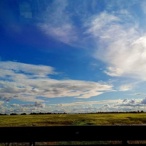 Photo #10434992