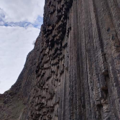 Photo #10435014
