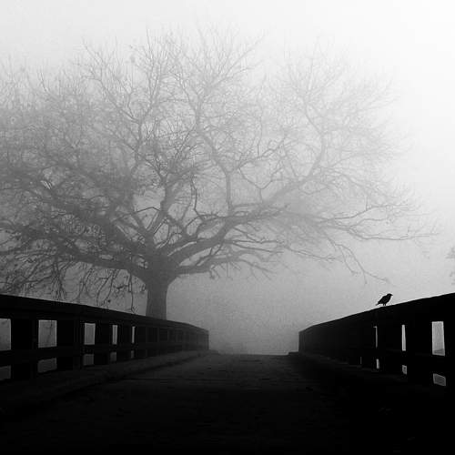 Lost in melancholy