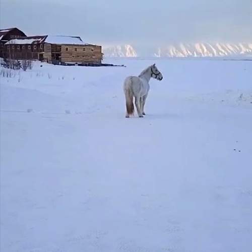 Байкал/Lake Baikal