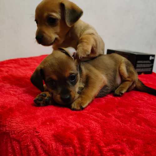 Photo #10435563