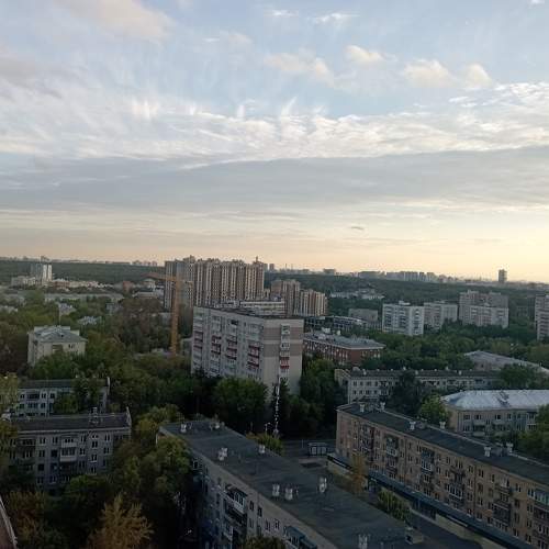 Photo #10435635
