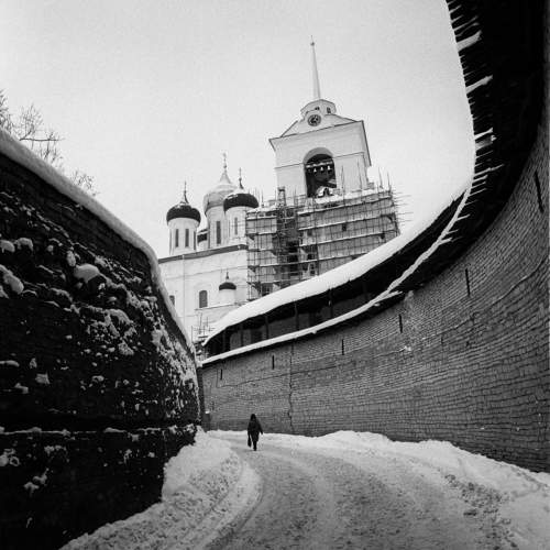 Photo #10435756