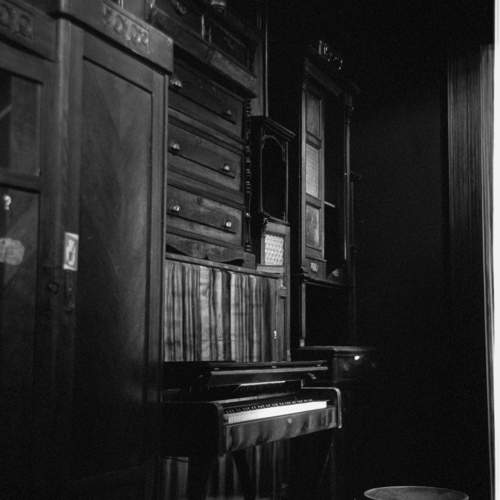 Photo #10435757