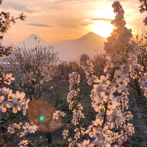 Photo #10435837