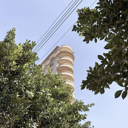 Photo #10435958
