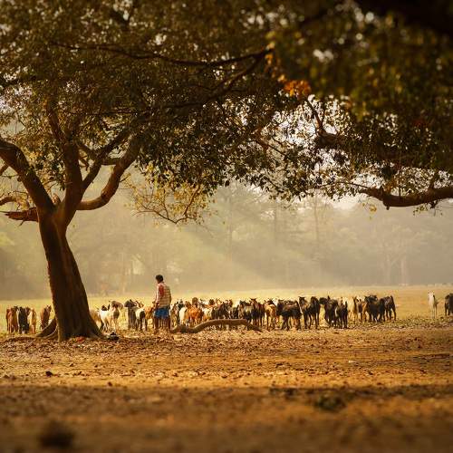 Photo #10436082