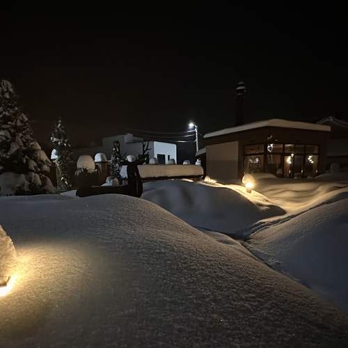 Photo #10436118