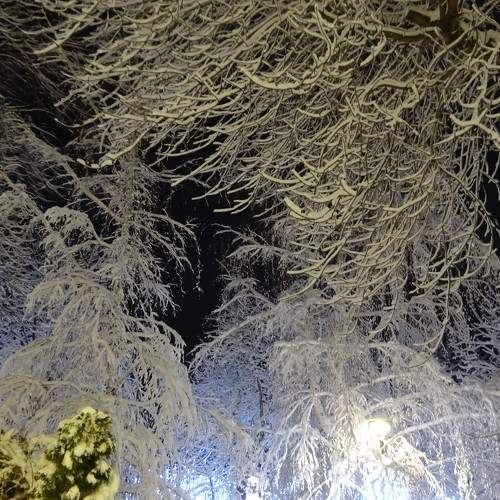 Photo #10436221