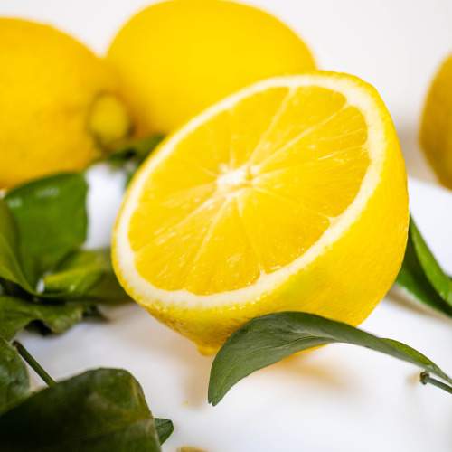 Photo #10436259
