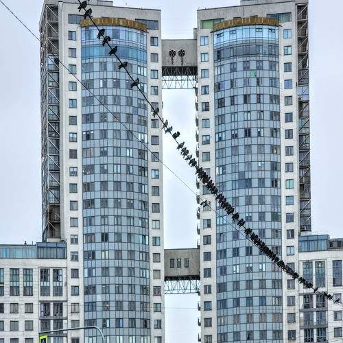 Photo #10436487