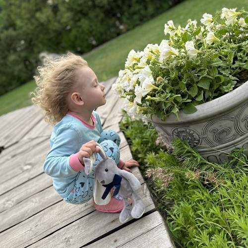 Photo #10436672