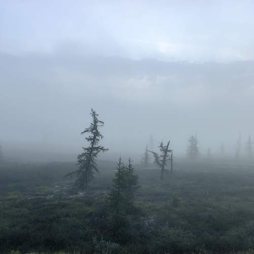 Photo #10436694