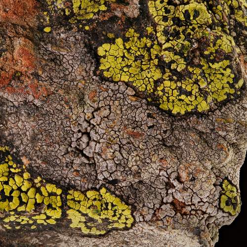 Photo #10436849